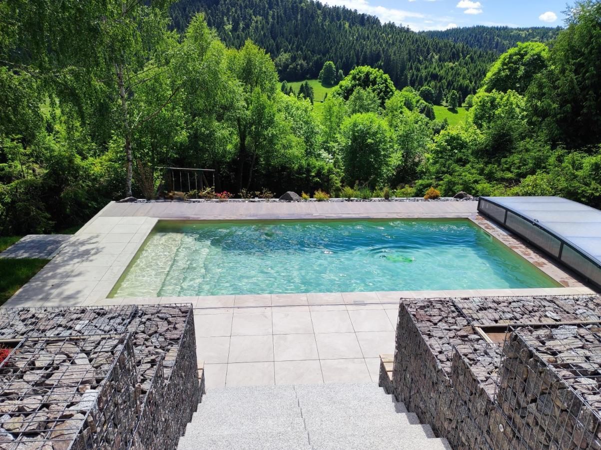 Le Cerf, Chalet Cocooning Avec Piscine Et Billard Ban-sur-Meurthe-Clefcy ภายนอก รูปภาพ