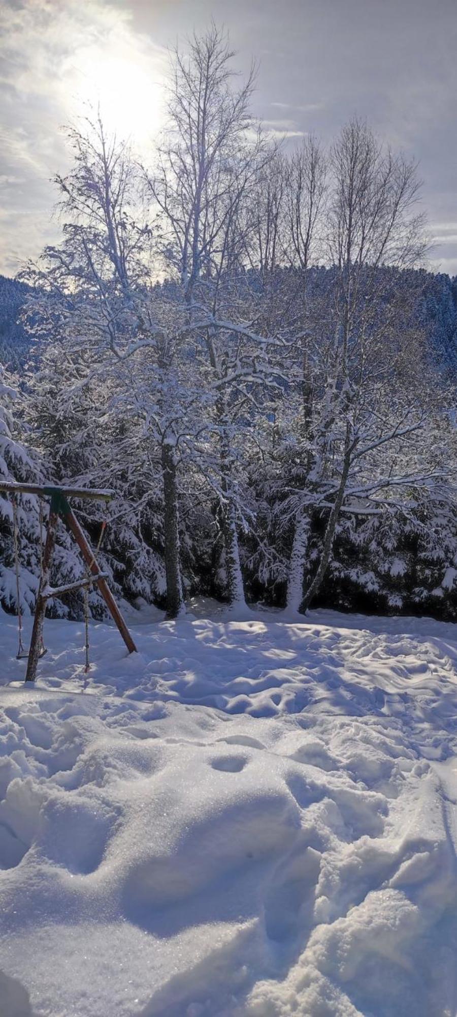 Le Cerf, Chalet Cocooning Avec Piscine Et Billard Ban-sur-Meurthe-Clefcy ภายนอก รูปภาพ
